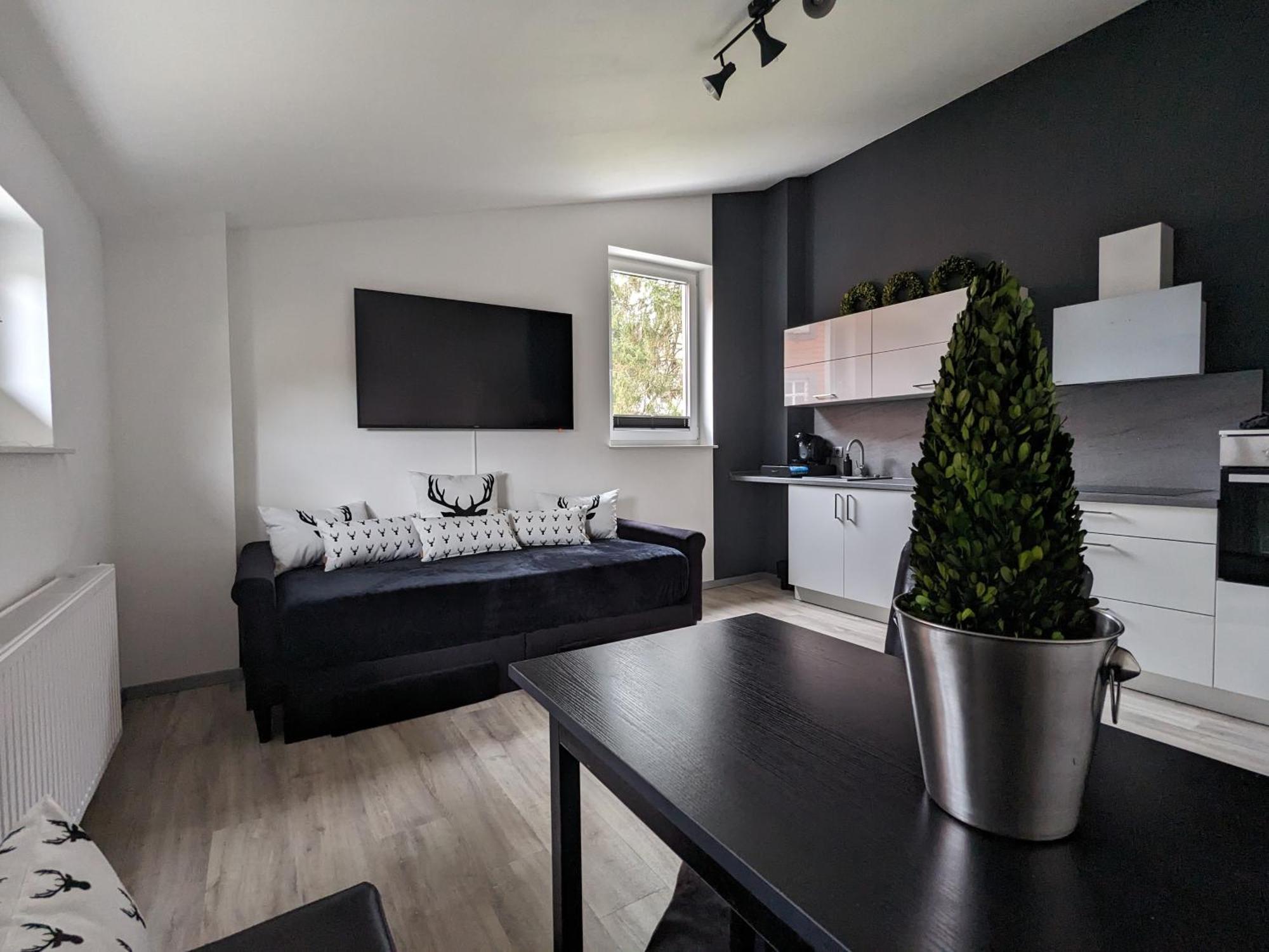 Hans Hirsch Apartment Wernigerode